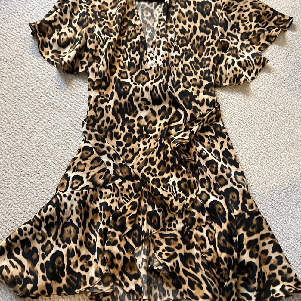 Dress - Picture 2 of 5